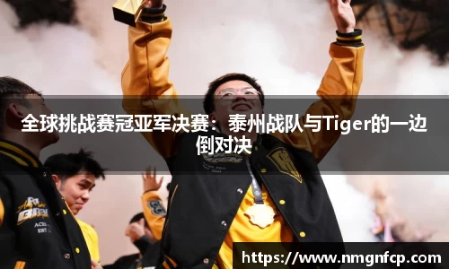 全球挑战赛冠亚军决赛：泰州战队与Tiger的一边倒对决